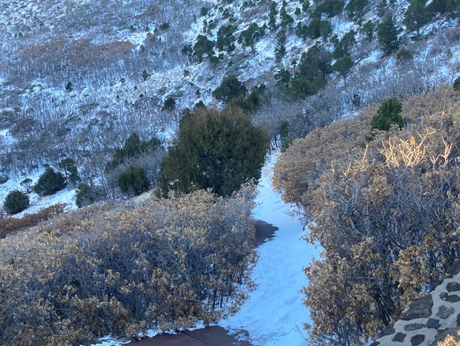 Crater Vent Trail In Snow