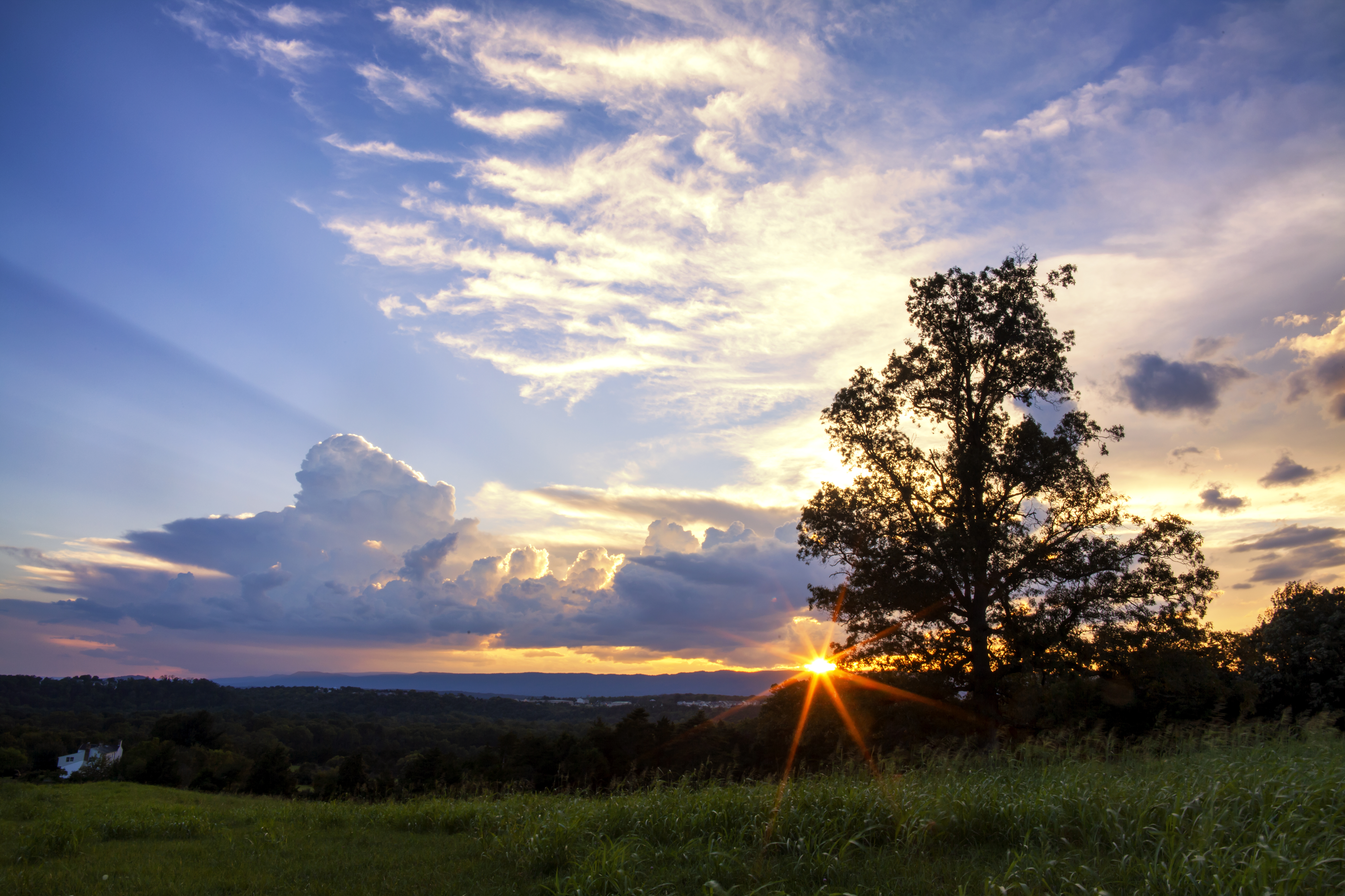Vibrant sunset through clouds and trees over a grassy field.