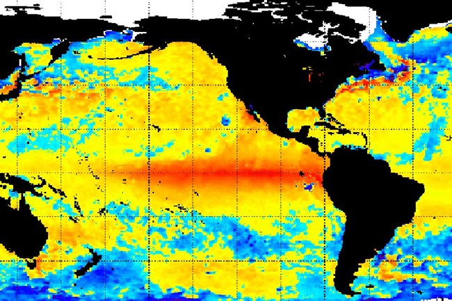 Map of world with continents in black and ocean water temperature in yellow, red, and blue.