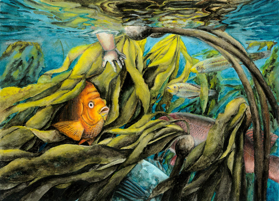 Painting of kelp forest with orange fish and chlds hand reaching in water.