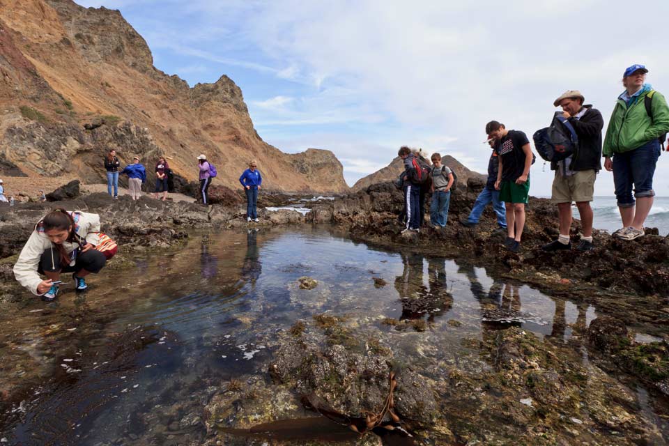 Tidepooling - Channel Islands National Park (U.S. National Park Service)