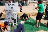 A group of students on their hands and knees in a push-up position, a sign reads "Lizard Life: how many push-ups can you do in a minute?"