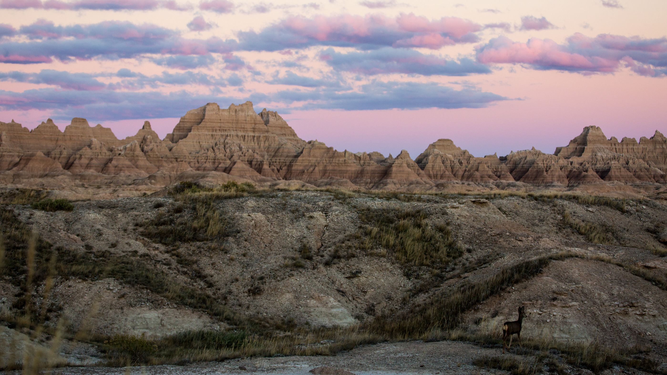 Badlands-National-Park-landscape-view_1.jpg?maxwidth\u003d650\u0026autorotate\u003dfalse