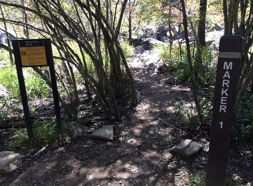 Wooded Trail - Billy Goat A with sign and Marker 1