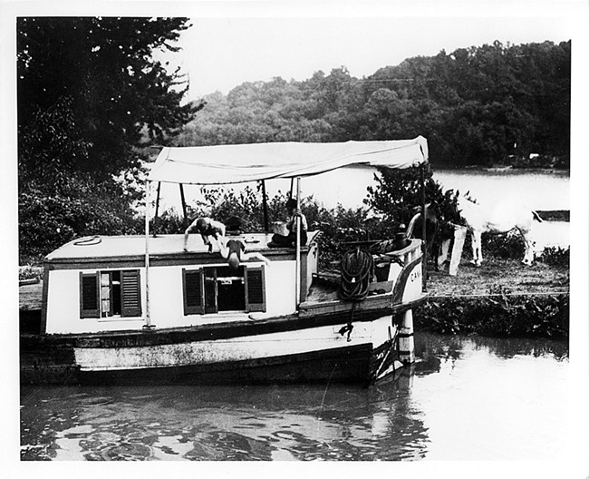 Two boys diving off a canal boat while it was tied up for the mules to feed on the tow path from their portable feeding troughs.