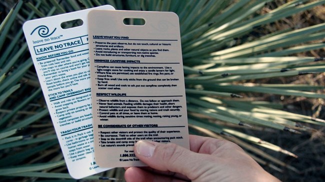 Image of hand holding Leave No Trace Principles reference cards.