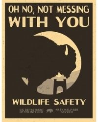 Infographic with text reading "Oh No, Not Messing With You. Wildlife Safety. U.S. Department of the Interior National Park Service." Image includes an illustrated silhouette of a bison near an archway in front of mountains.