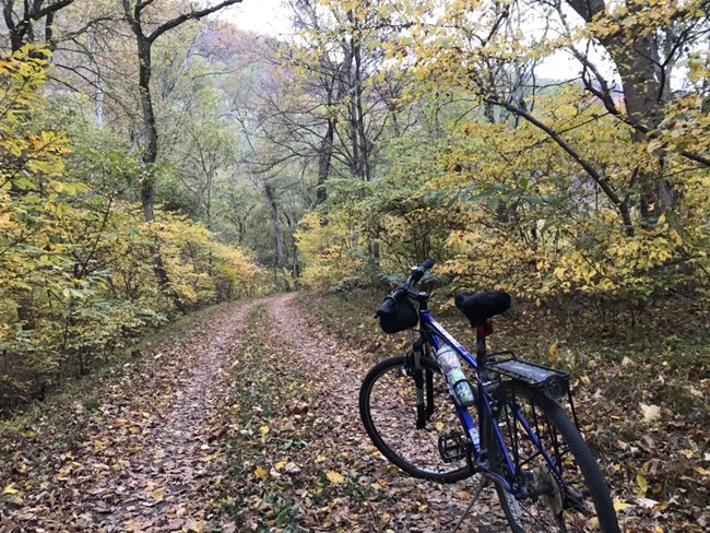 Bicycle on towpath surrounded by fall foliage
