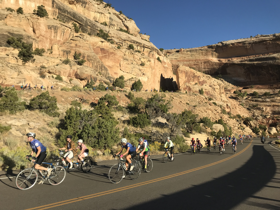 About 50 bicyclists riding up road winding along steep slope.