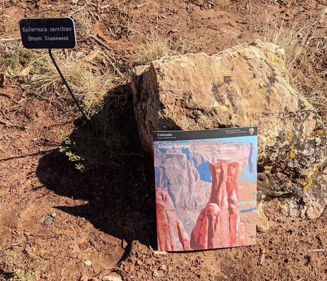 Colorado National Monument's junior ranger book