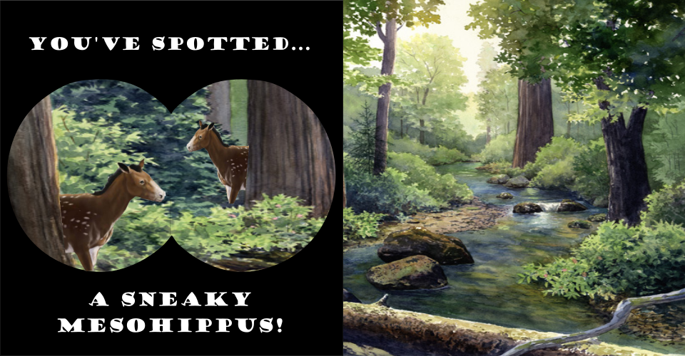 On the left shows the forest with tall Redwood trees. Out from two of the Redwoods are two small three-toed horses called mesohippus peeking out. A mesohippus is also in the bottom left corner. On the right are two mesohippus in the forest by the stream.