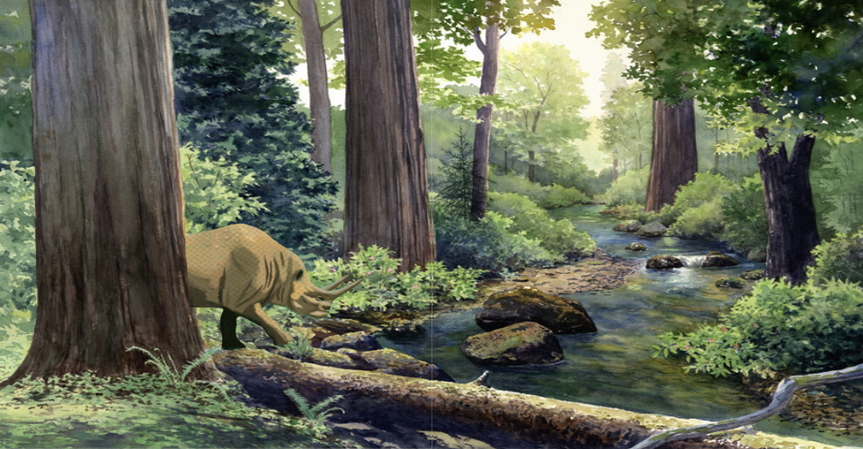On the left is a picture of the forest showing the trunks of the tall Redwood trees. On the right is a binocular view looking more closely at the massive rhinoceros-looking brontothere at the stream with the text "You've spotted a brontothere!"