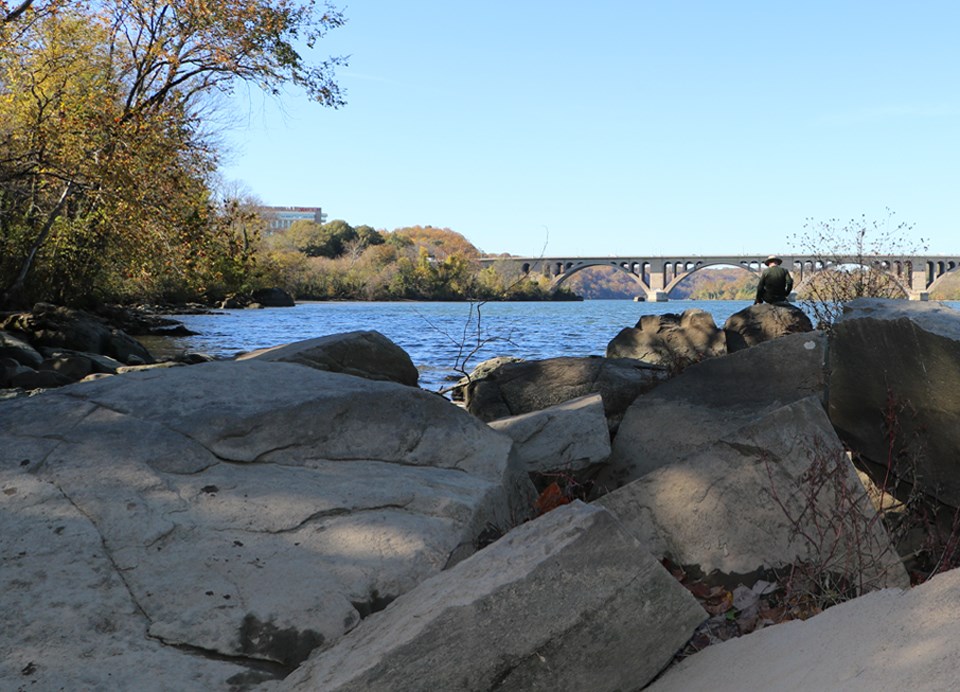 Theodore Roosevelt Island in 2016