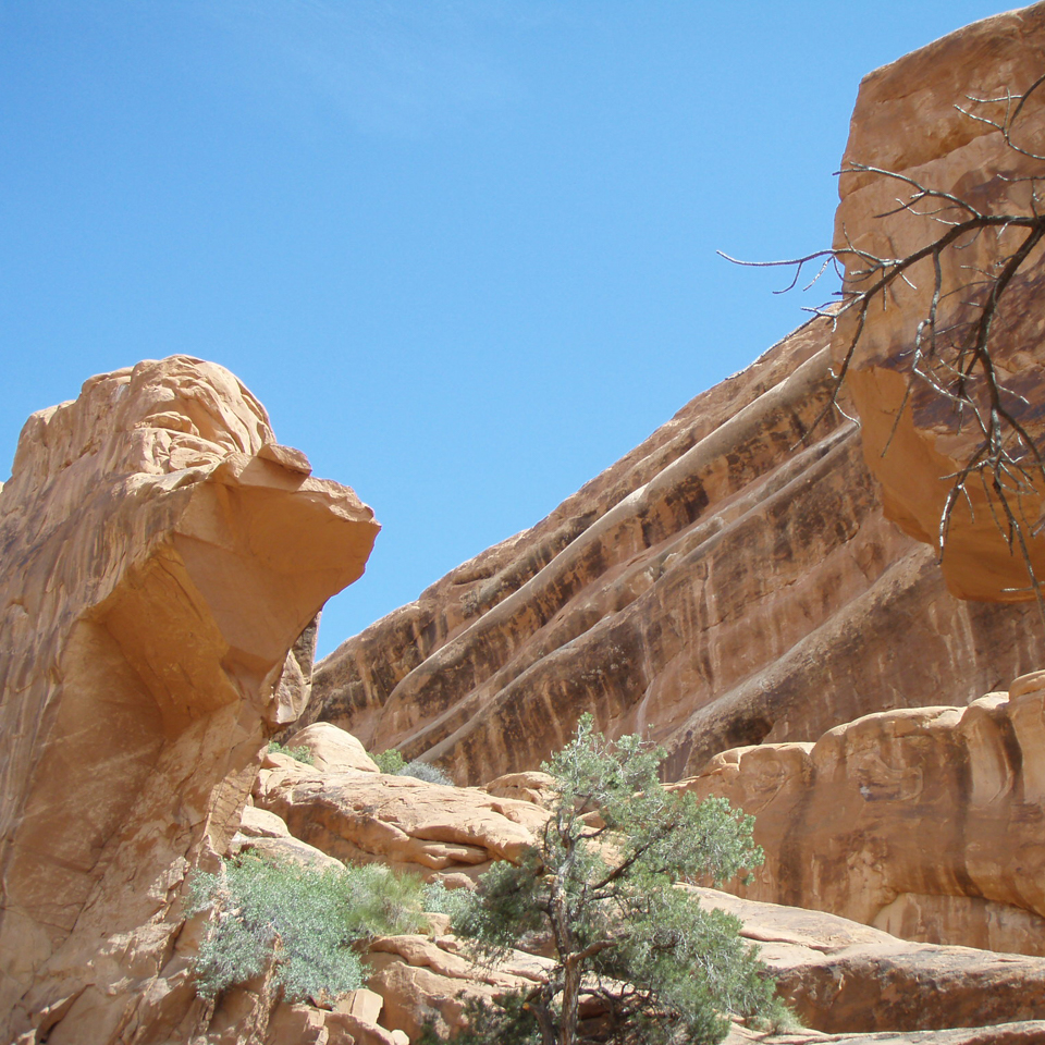 Fallen Arches U.S. National Park Service