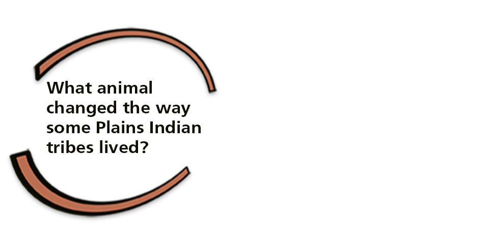 Question: What animal changed the way some Plains Indian tribes lived.