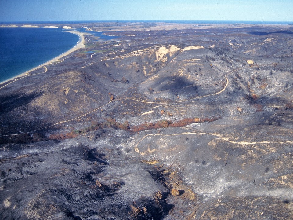 Expansive section of burned, blackened landscape, with beaches and bluffs beyond.