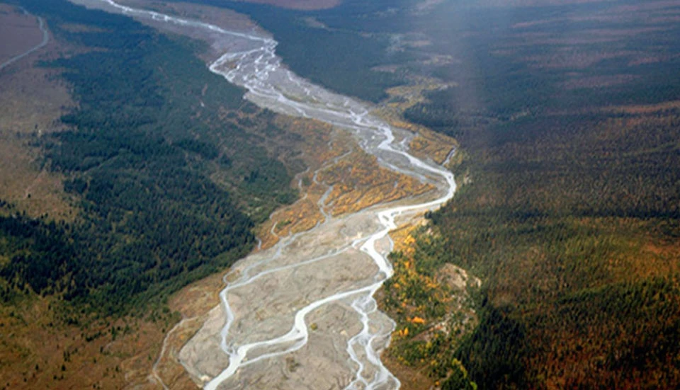aerial view of a river with sparse forests on either side