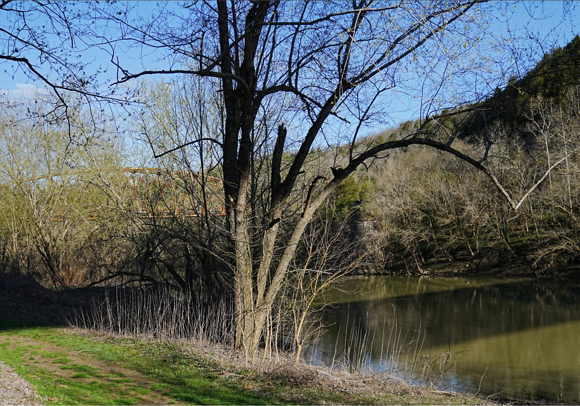 Left Image