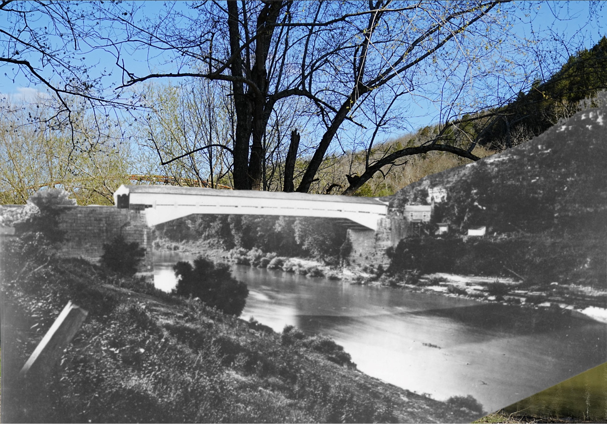 Left Image