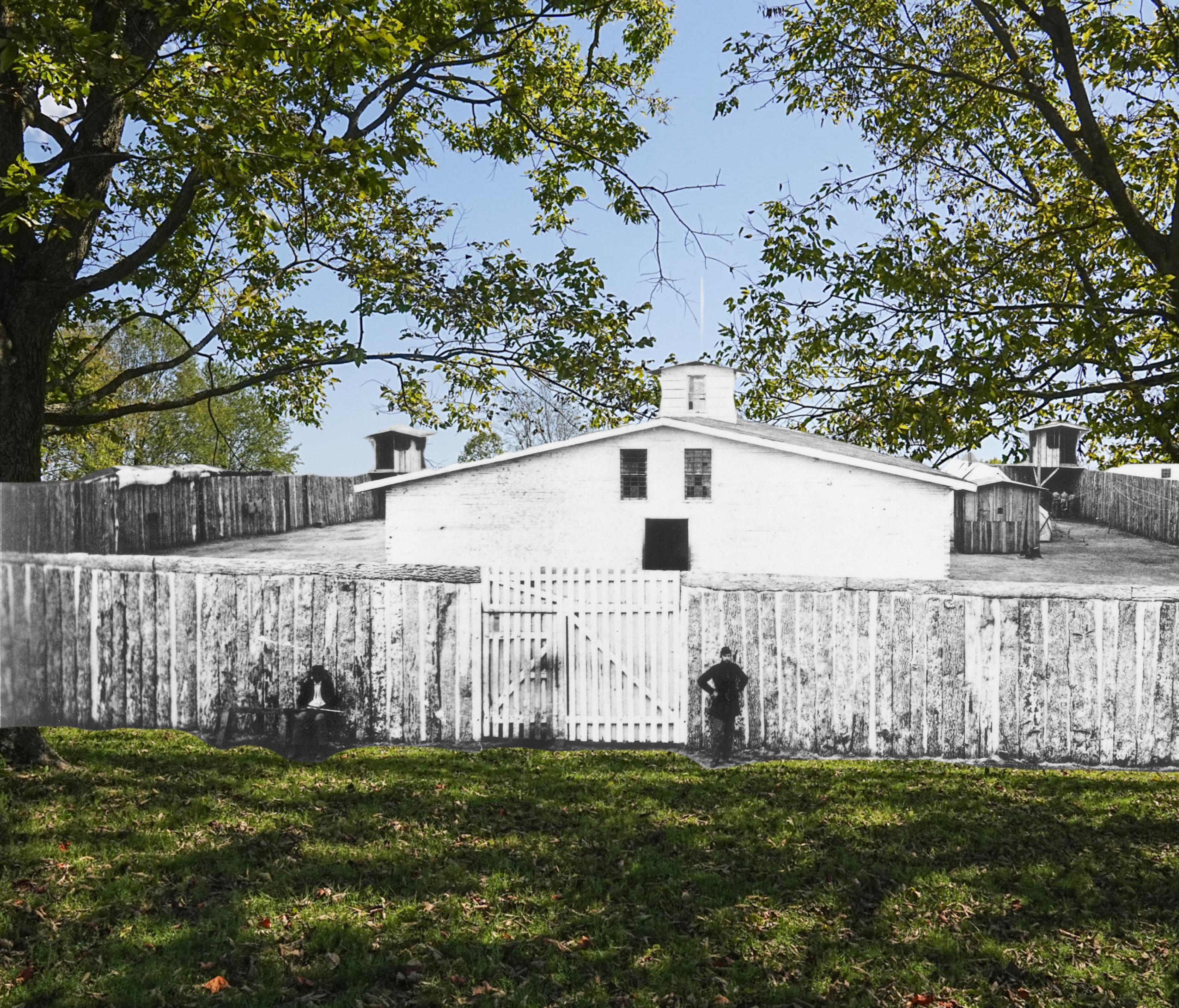 Left Image