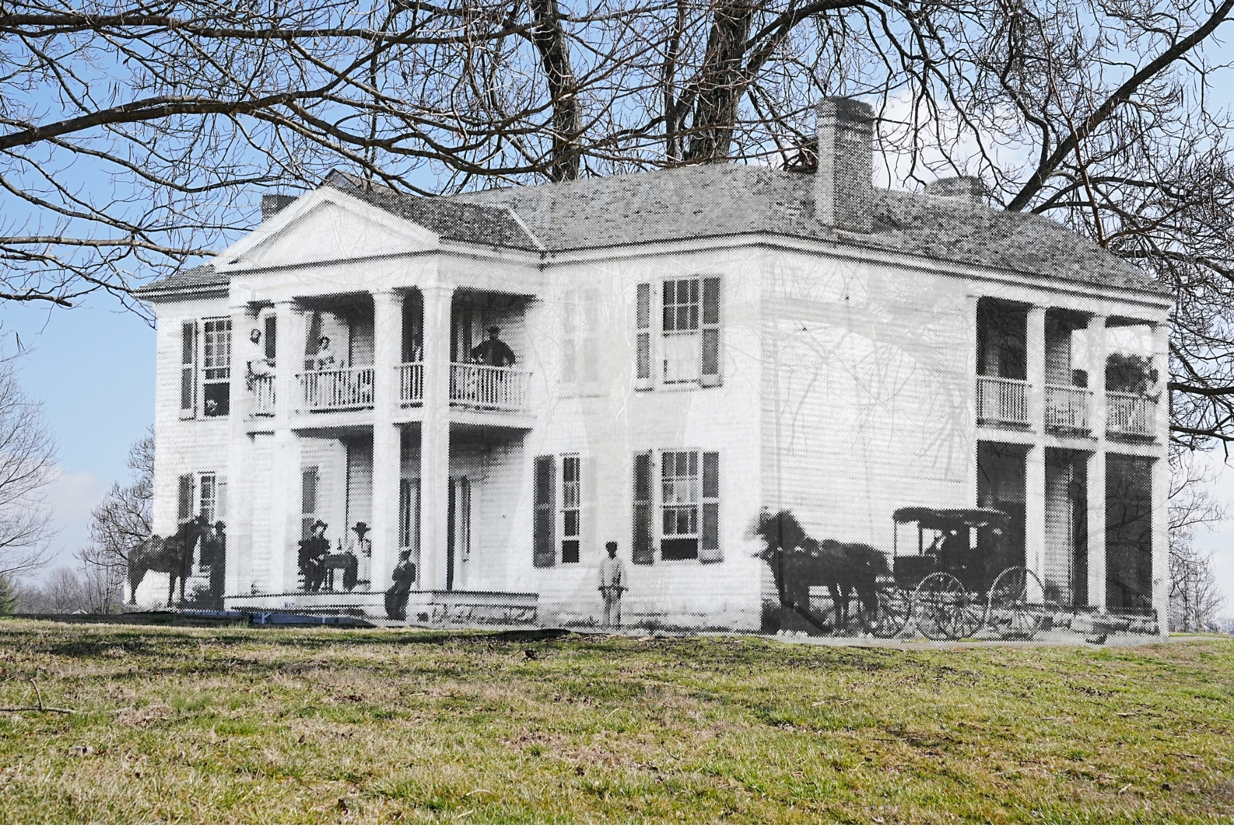 Left Image
