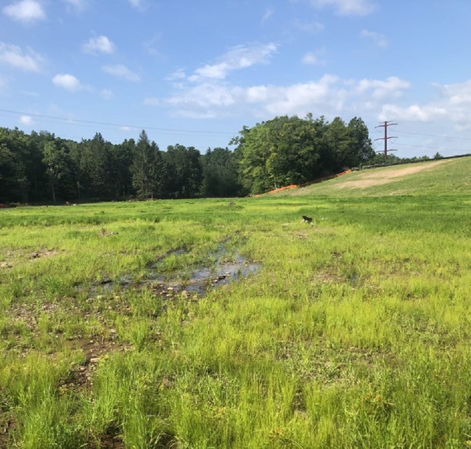 One of the ponds at Watergate Recreation Site with trees surrounding the pond. There is a hill in the background that descends towards the right side of the photo. Leafless, brushy plants are in the foreground.