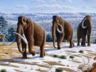 Illustration of a woolly mammoth herd by Mauricio Anton