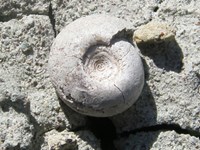 Beach Materials - Geology (U.S. National Park Service)