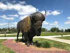 A statue of a bison in front of a large museum.