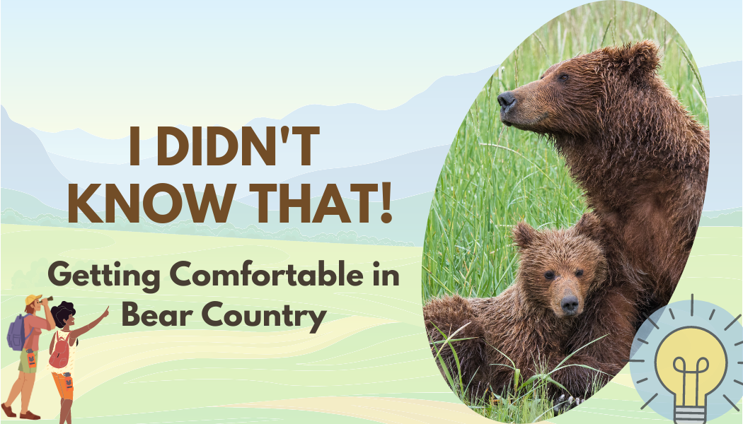 Bear Complex: How to Do, Pro Tips & Safety Measures