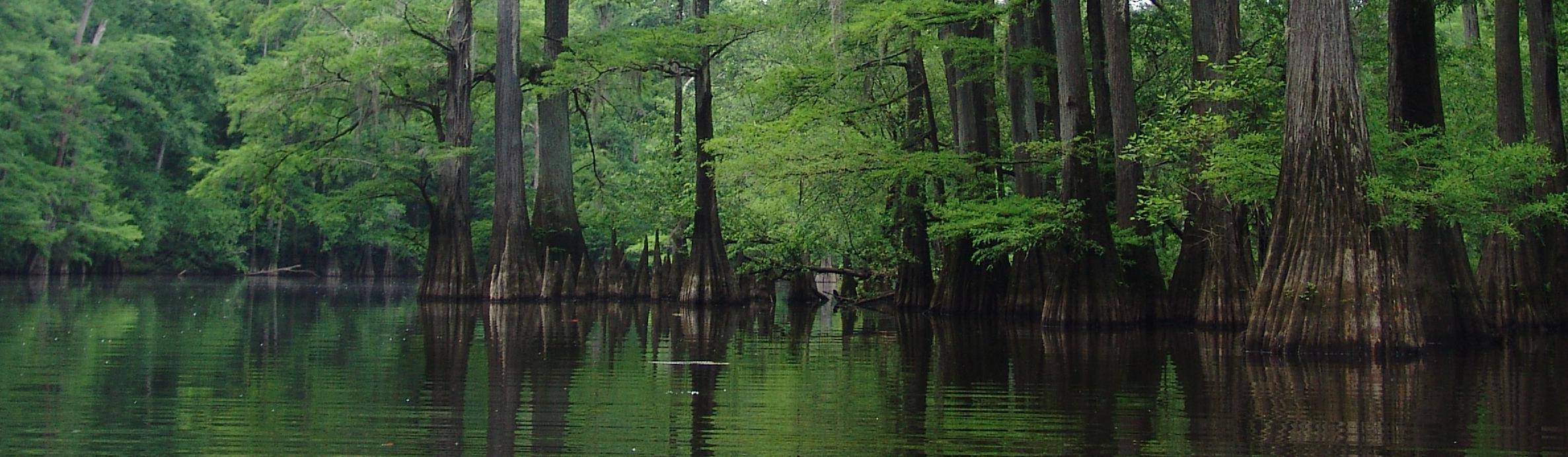 Big Thicket National Preserve (U.S. National Park Service)