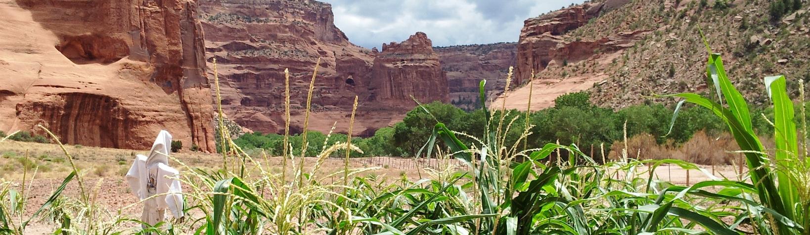 Canyon de Chelly National Monument (U.S. National Park Service)