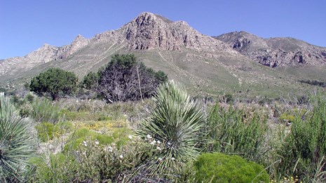 Guadalupe Peak (U.S. National Park Service)