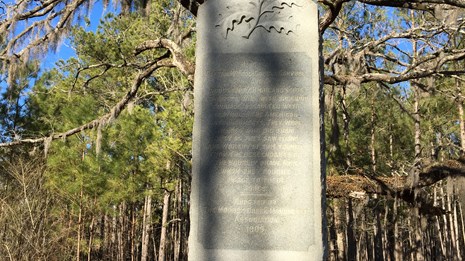 Southeast Chronicles: Moores Creek National Battlefield Park