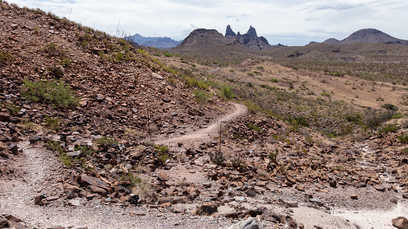 Mule Ears Trail