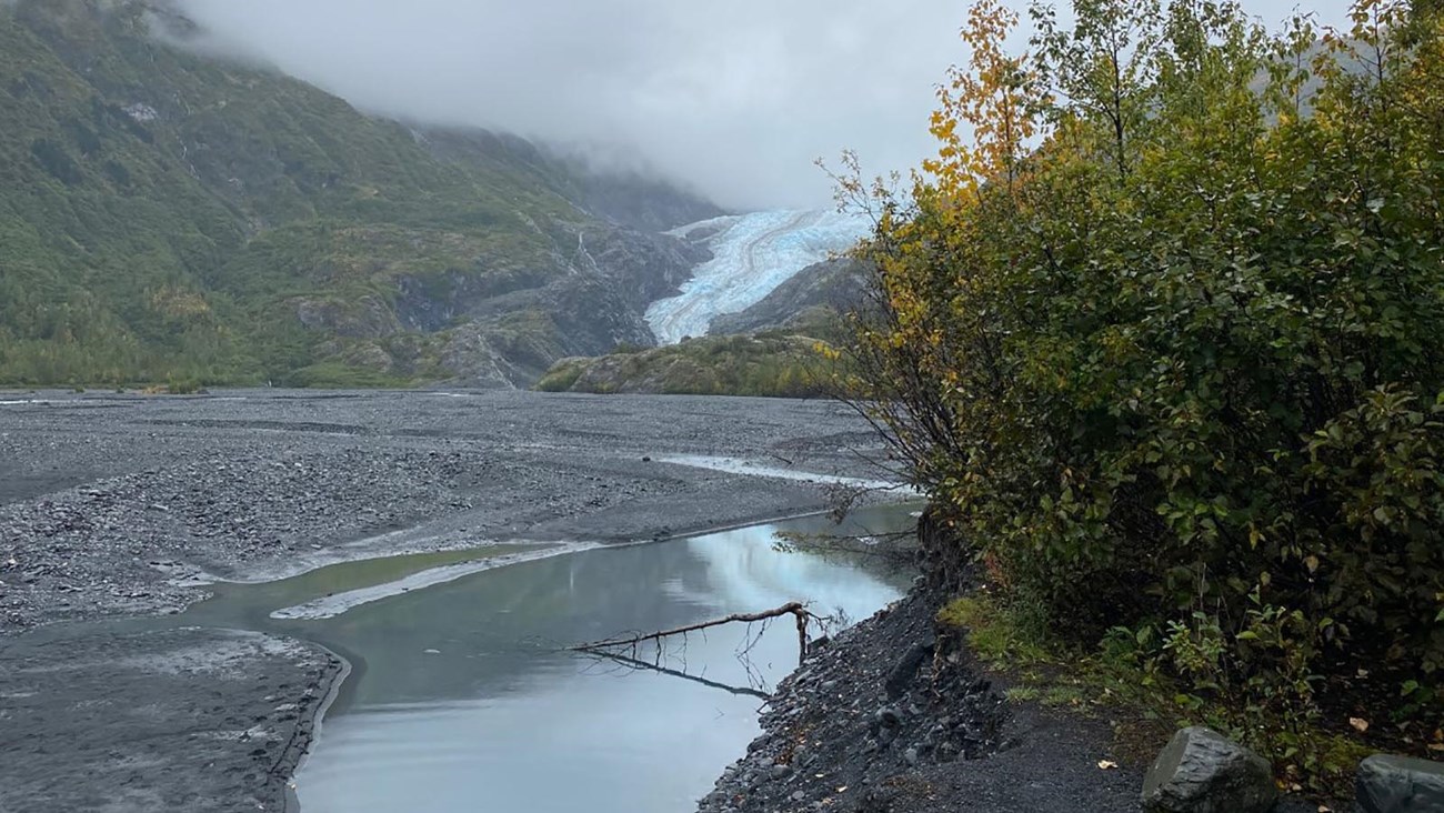 A glacier flowing between two plant covered mountainsides in the distance.