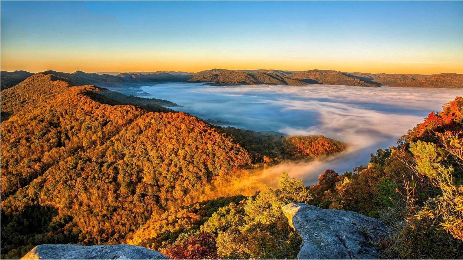 mountain view with fall foliage and the fog covering the right of the mountain.