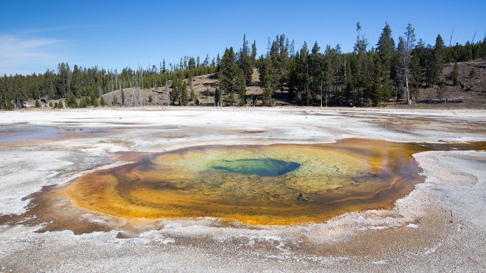 A hot spring with yellow around the edges and green in the center sits in a hydrothermal basin.