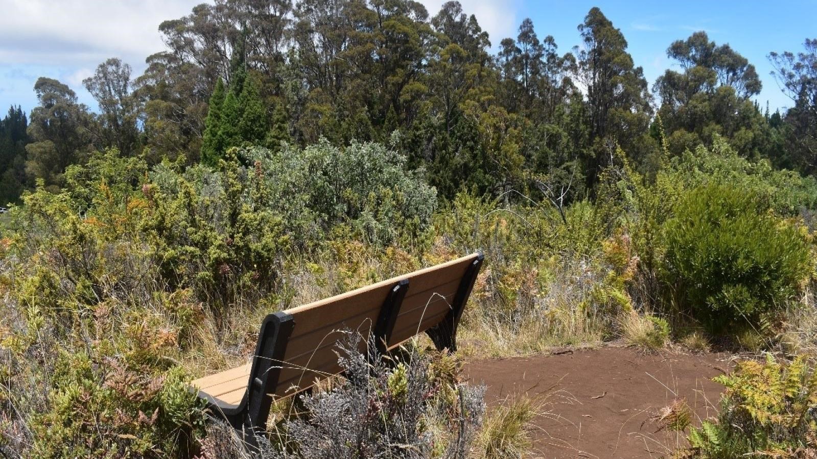 a bench sits off the trail among a native shrubland with 360 views