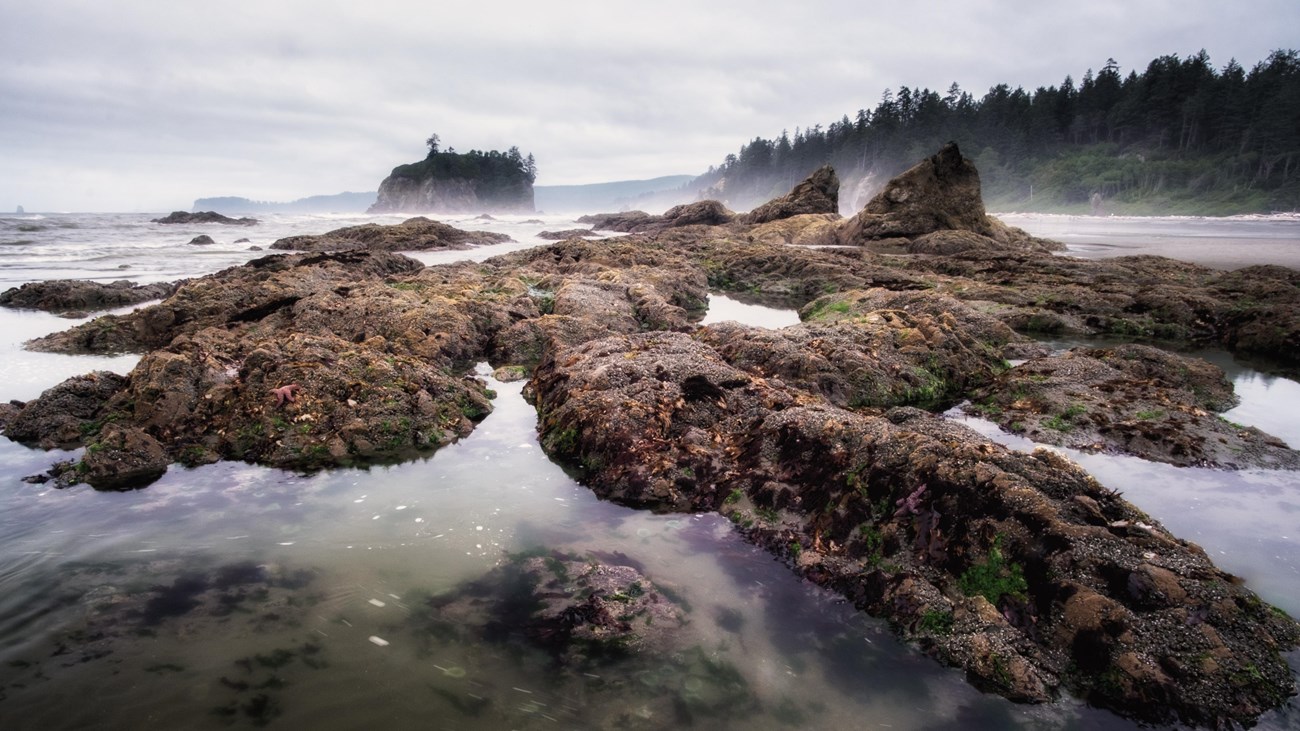A rocky beach shore