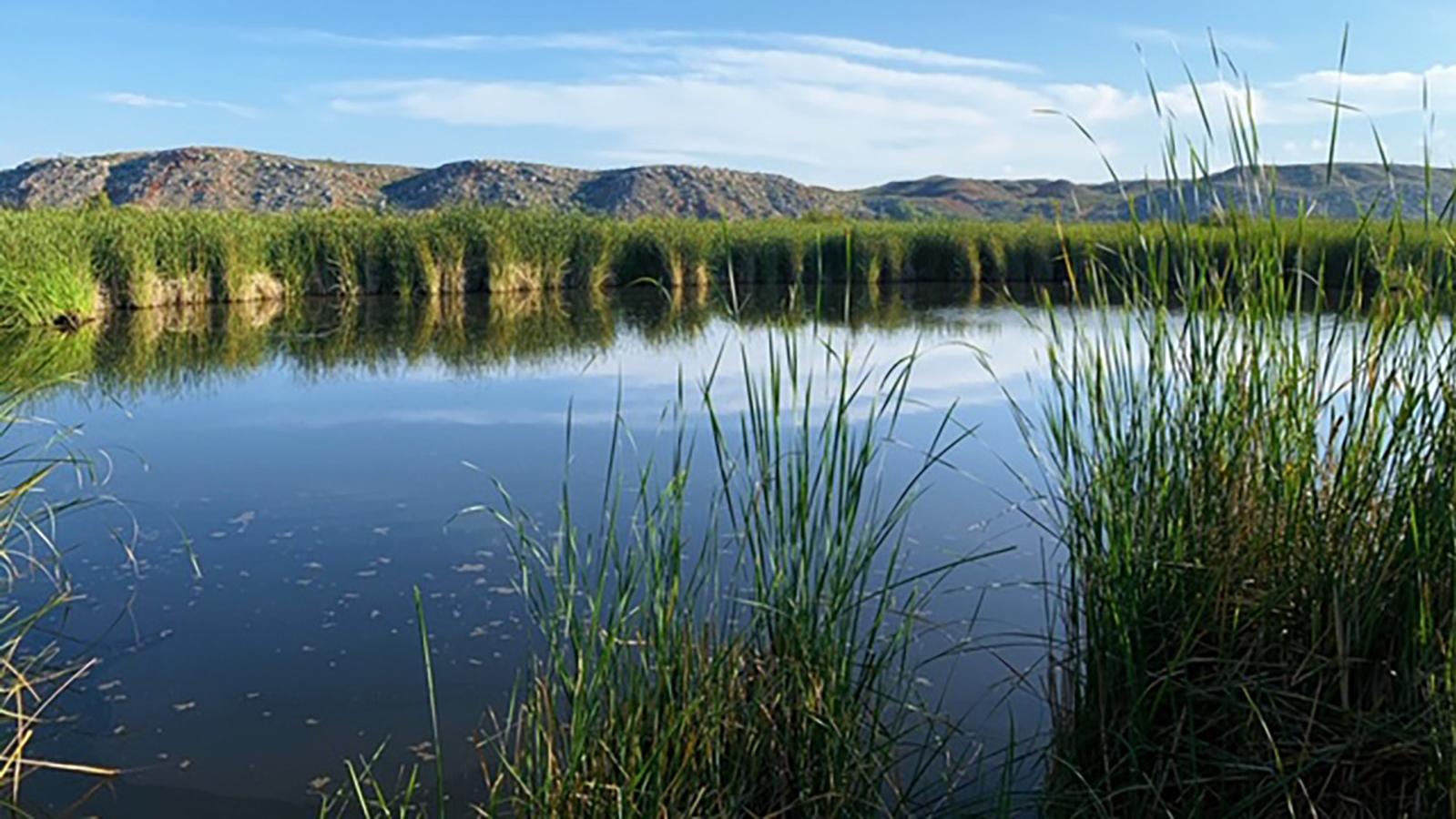 spring canyon water