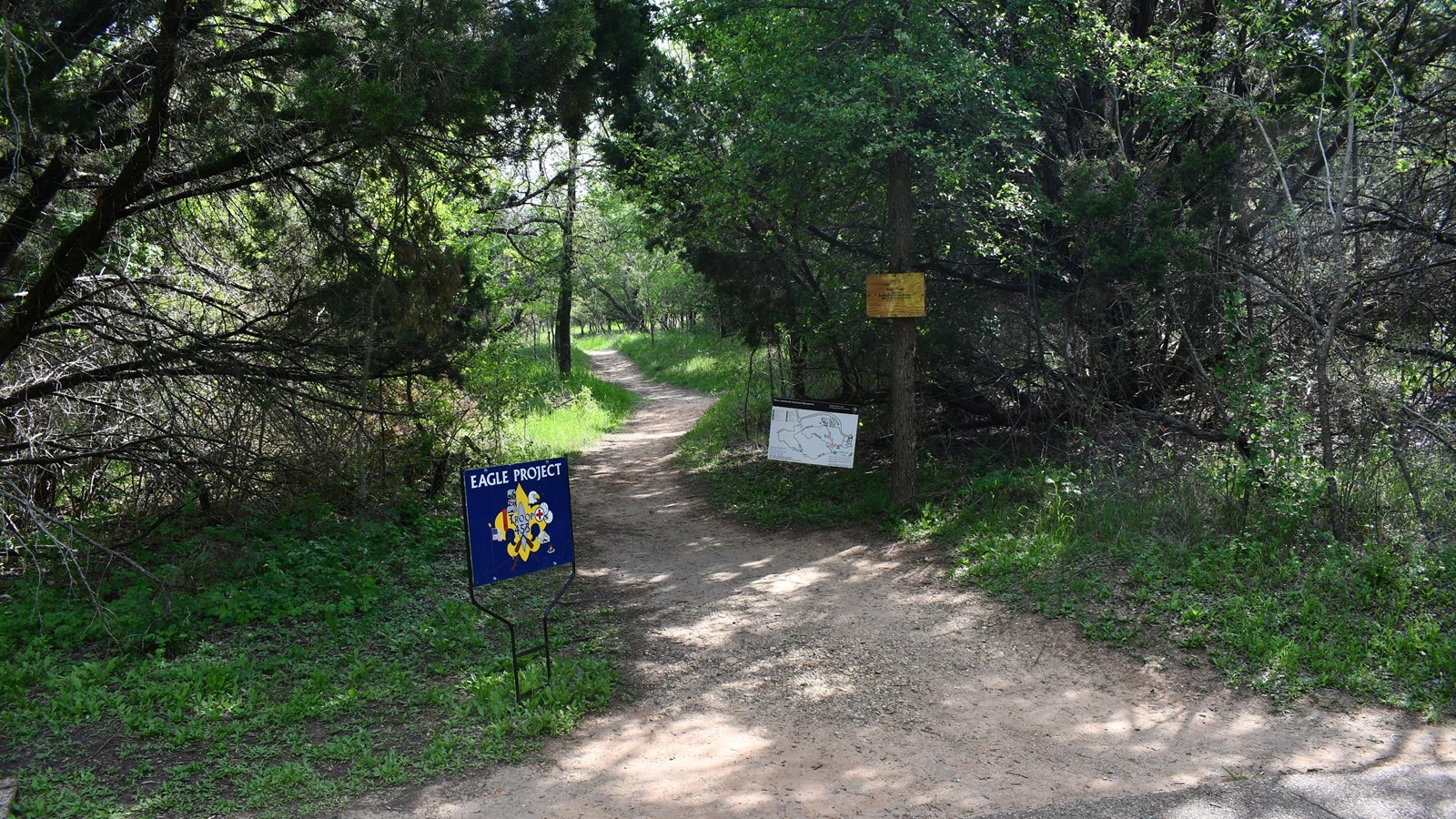 A dirt path leads through a forested area.