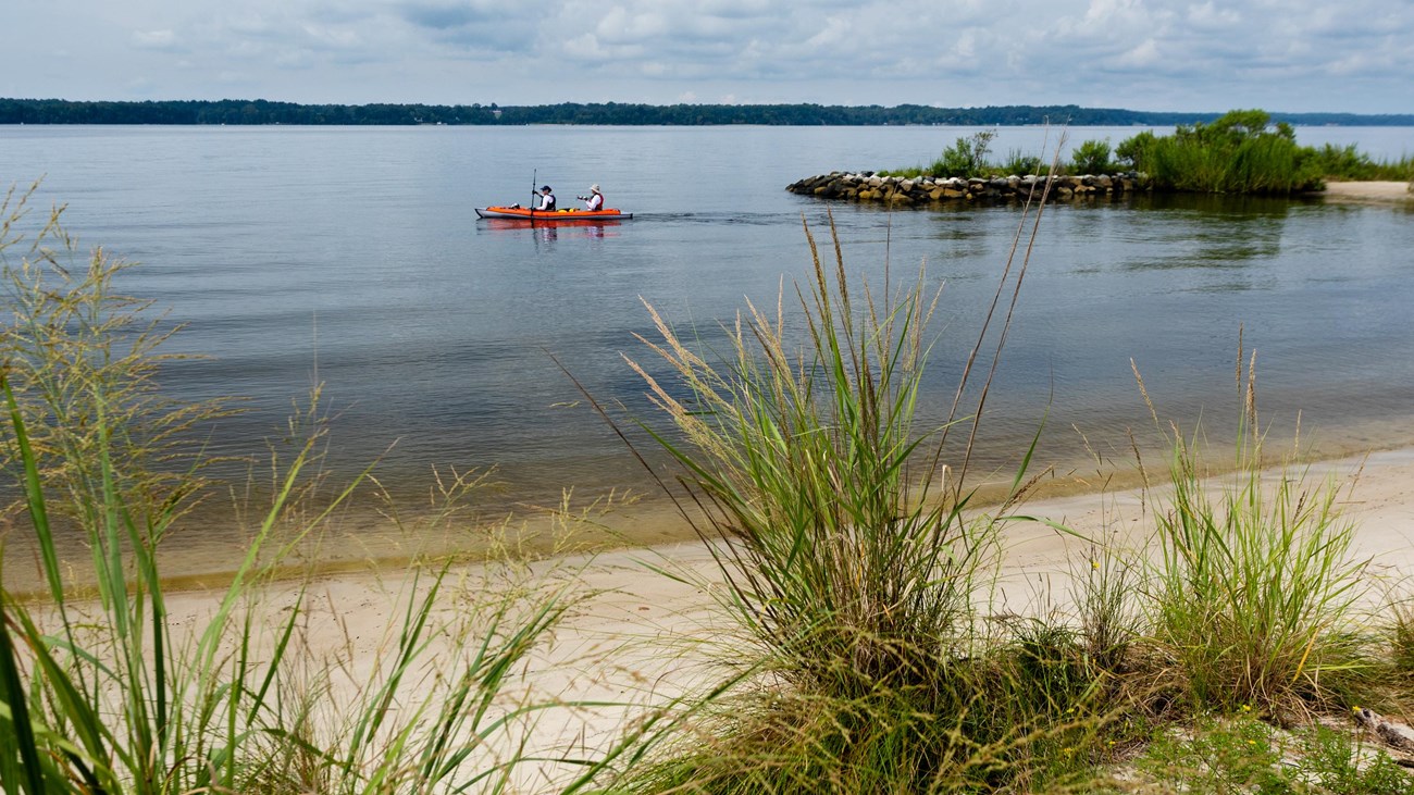 Kayaking along a living shoreline with sand and grasses. 