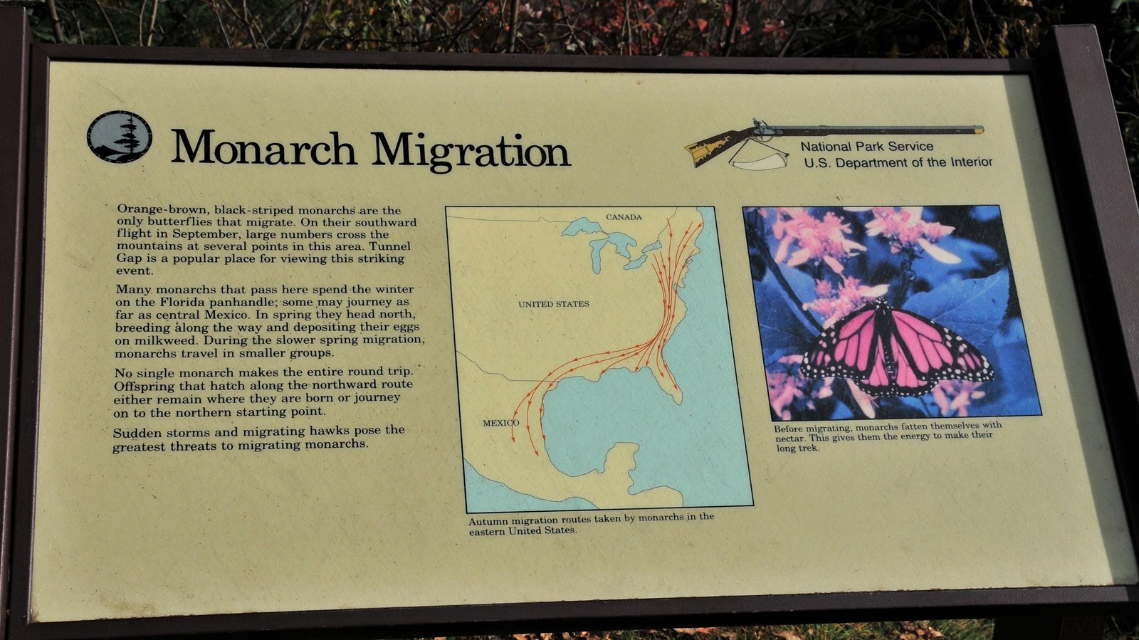 A photograph of the information panel showing a map of Eastern US and a monarch butterfly