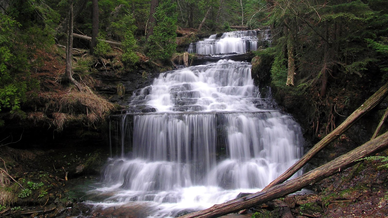 Water cascades over several rock ledges flanked by dense forest