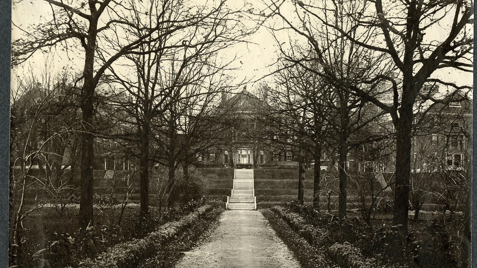 Black and white of path leading up hill and stairs to a building with path lined by trees