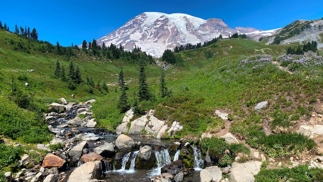 Paradise - Mount Rainier National Park (U.S. National Park Service)