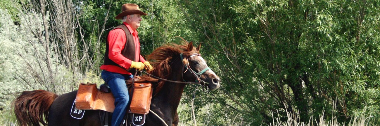 A man rides a horse, dressed as a pony express rider from the 1860 in cowboy attire.