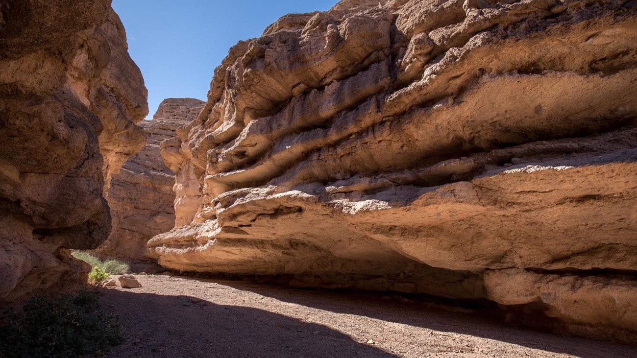 A trail cuts through a winding canyon.