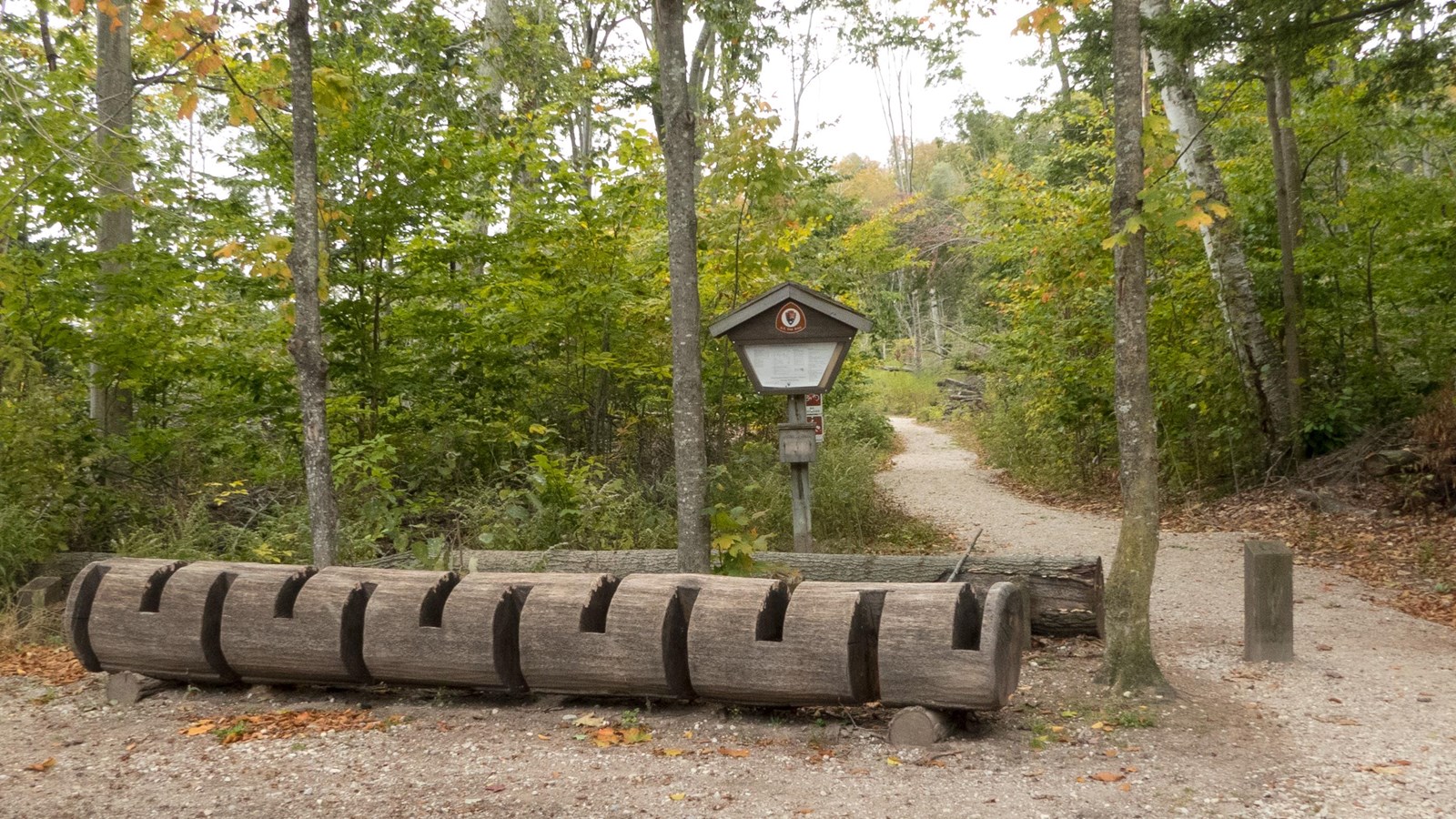 Bike rack made from large log
